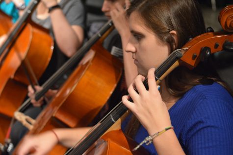Orchestra members work hard to prepare for their first concert