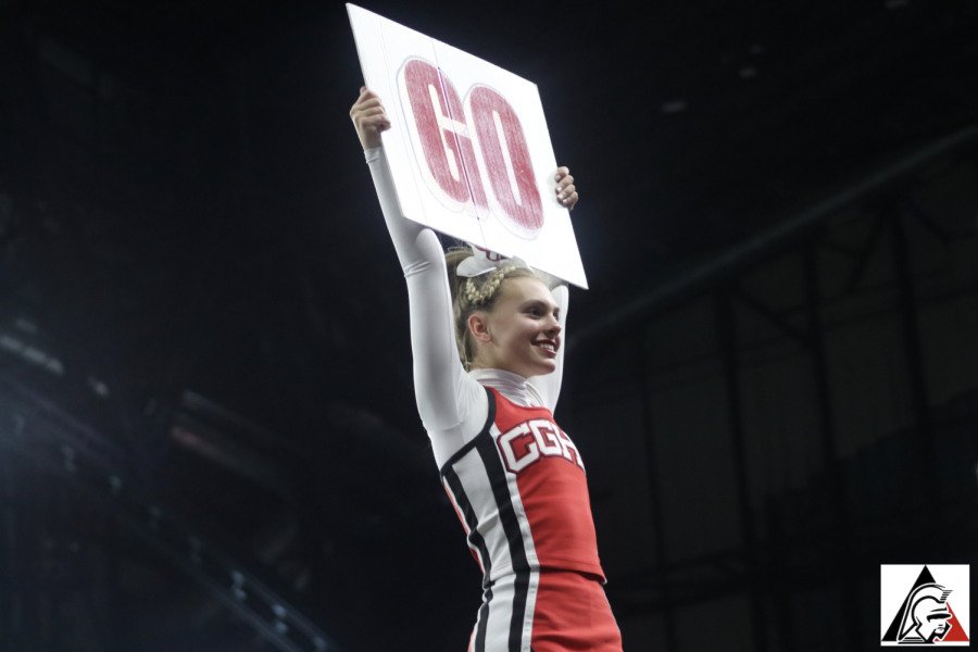 Junior Hailey Hardin holds up a sign for the crowd during the state championship game.