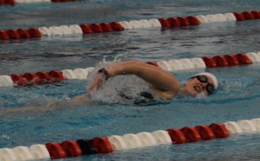 Junior Lola Gilolmo swims during the teams 138-47 victory over Avon on Dec. 13. Photo courtesy of C. Robinson
