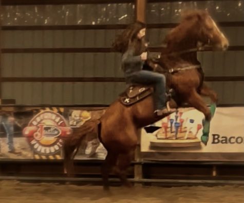 Freshman Maddi Brown rides her horse, Dixie.