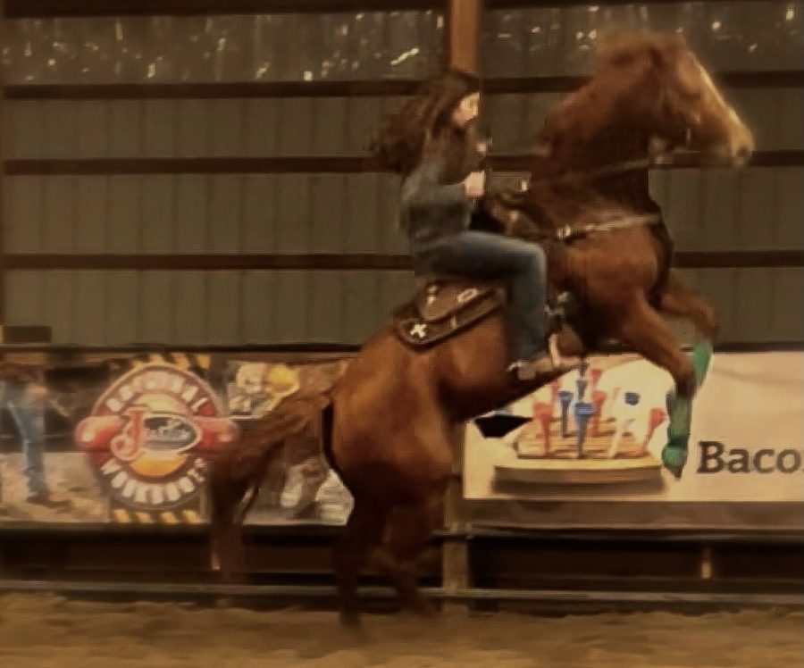 Freshman+Maddi+Brown+rides+her+horse%2C+Dixie.