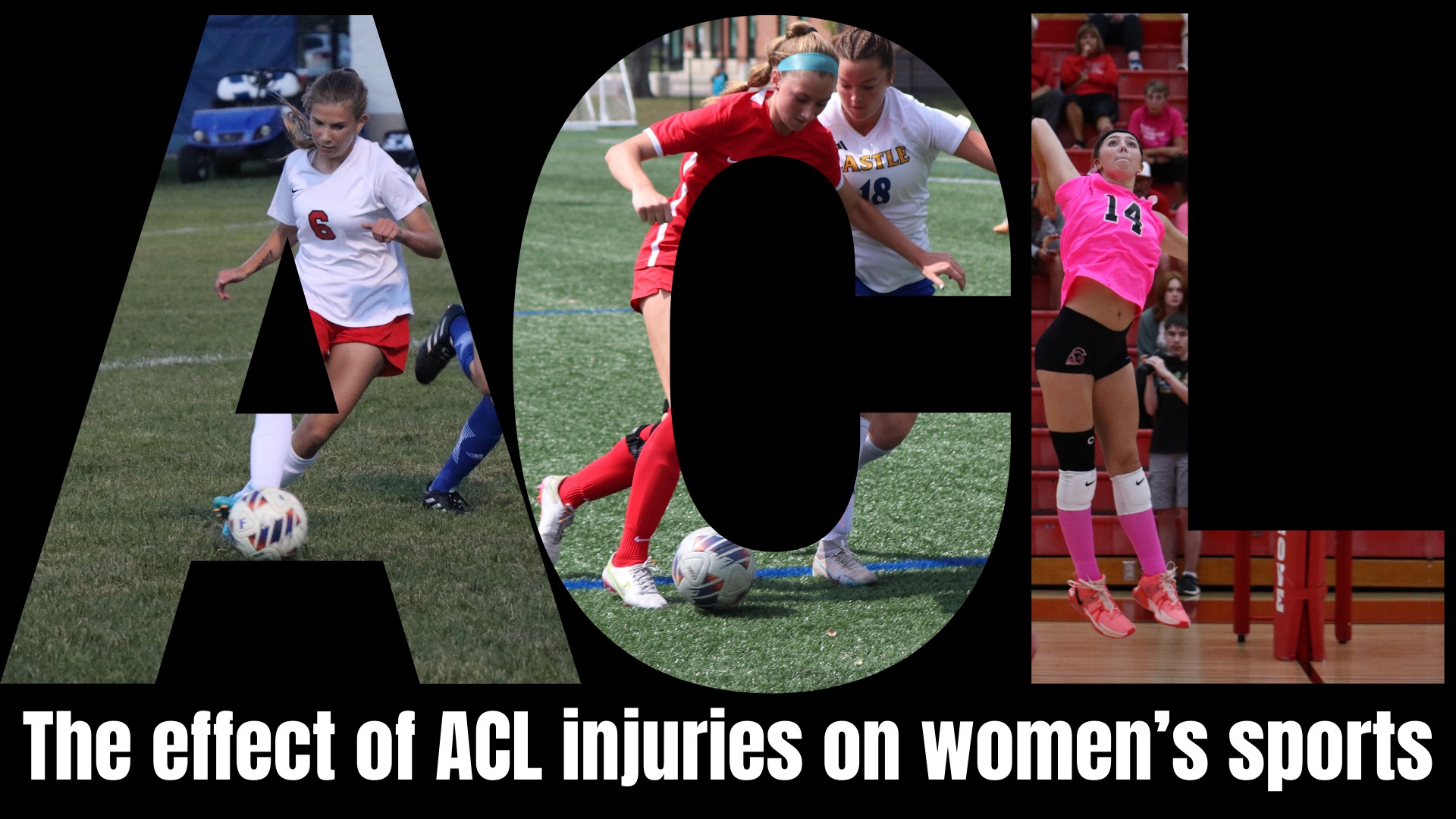 Devastation Prevalence And Effect Of Acl Injuries In Female Athletes Trojaneer 8851