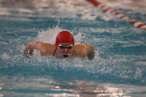 Girls swimming competes in state final prelims