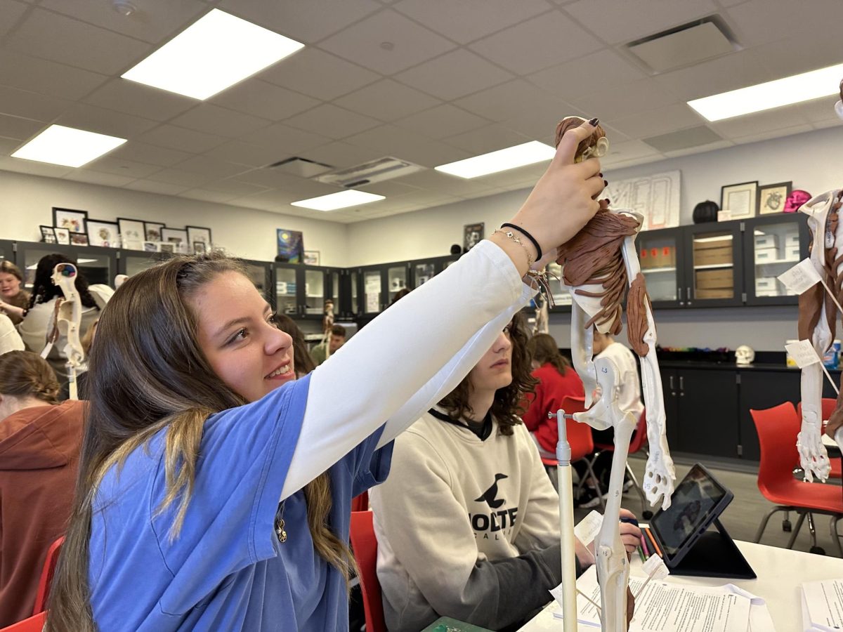 In Human Body Systems, sophomore Emily Pyers builds a clay brain for her model skeleton. Biomed students used these models to increase their understanding of the human body.  “I really like Biomed because it gives me the skill sets to excel in the medical field when I am older,” Pyers said. “By using these hands on methods, I am able to really undertand the human body.”