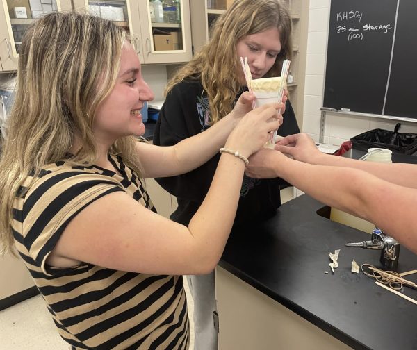 Sophomores Sierra Ferry and Addi Badger build protection for their egg drop during the Science National Honors Society meeting. Students went out to the band tower and then proceeded to drop their egg to test their egg’s protection. “It was fun building the contraptions for the drop and I liked seeing how creative everyone was being,” Ferry said.