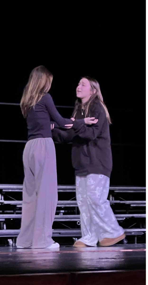 Sophomores Alyanna Krudy and Chloe Buechler perform their acting presentation to the song “Black Sheep” by Metric during their theater arts class. The students acted out words of the song and visually represented the story. “I learned how to direct students and how to tell a story without words,” Krudy said. “I really enjoyed getting to work with my peers.”