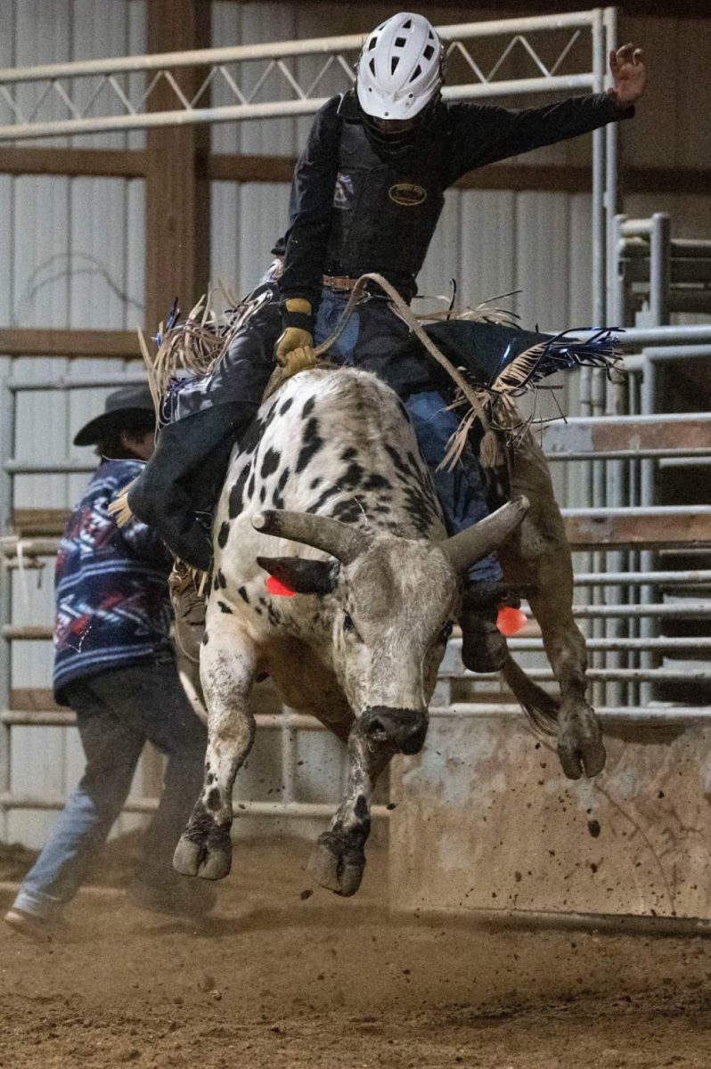 Sophomore James Inch rides a bull during one of his rodeos.