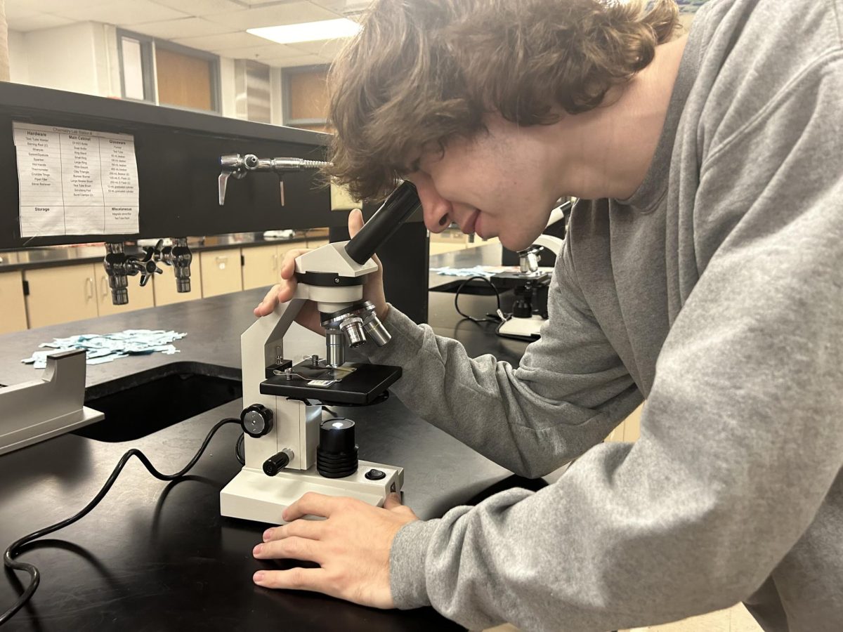 Freshman Richard Wilbur looks through a microscope to discover which phase of mitosis that an onion root is. The purpose of the activity was to help students learn to identify phases of mitosis on real objects. “The microscope helped me be able to see the onion root tip, understand mitosis better, and apply my skills,” Wilbur said. 