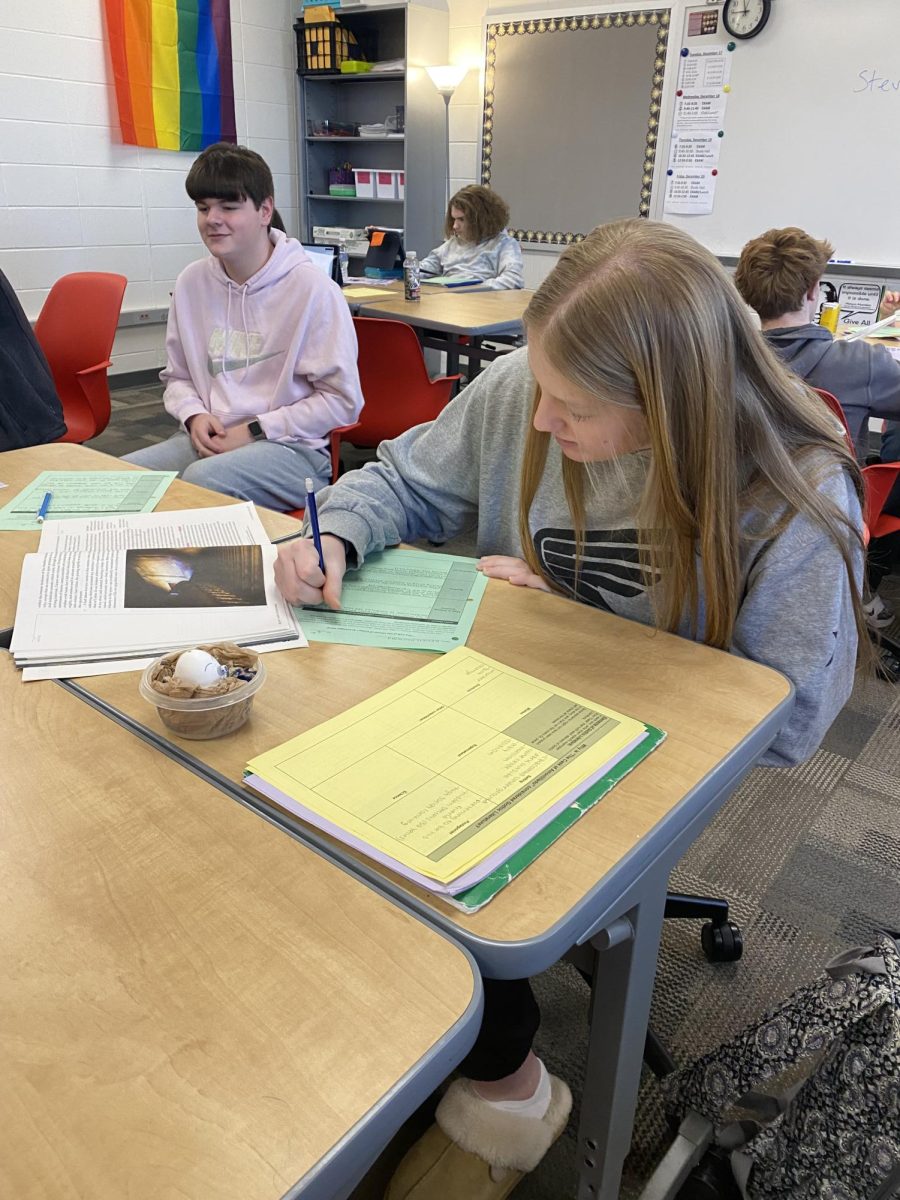 In first year child development, students are asked to take care of an egg as if it is their own child. Sophomore Kaylen Plunkard has this task. “While it was fun to show everyone my egg and decorate it, it was very interesting to notice how responsible and protective I truly have to be with it,” Plunkard said. “I have to make sure when it is on my desk in class it's somewhere where it can’t get bumped off as well as in the hallways making sure no one hits it.”  