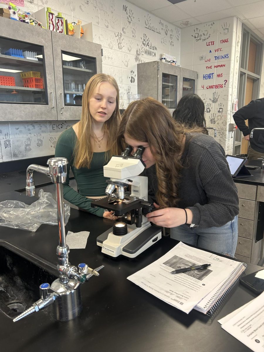 During a lab in Principles of Biomedical Science, Norin Kelly looks into the microscope of a blood sample. The students were looking for the differences between normal blood and sickle cell blood. “I like biomed because it is setting me up for my future career as a nurse,” Kelly said. “I chose to take it because I knew it would help teach me medical knowledge.”