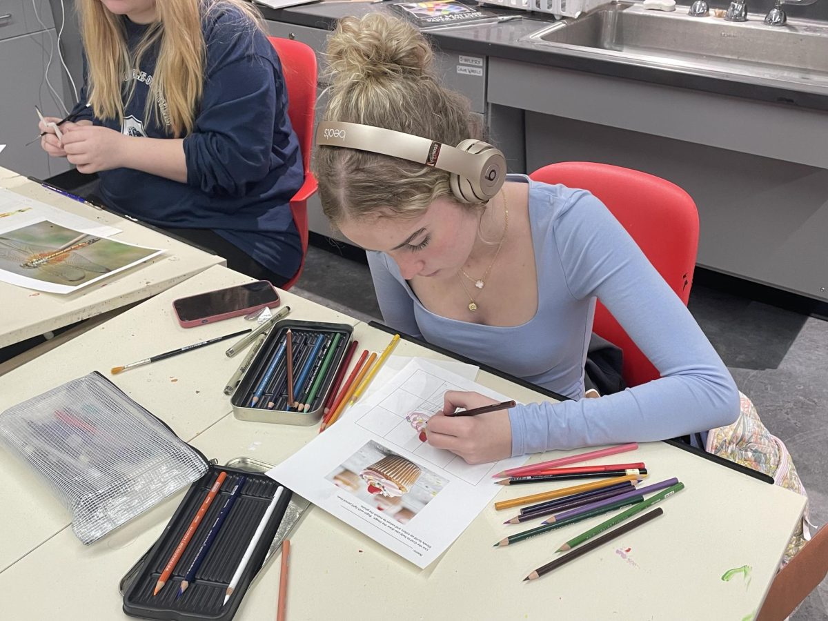 In Katharine Gaff's fourth period art class, sophomore Violette Schiefelbusch-Moreloc works on drawing a realistic picture. She had to take a picture of something that she wanted to draw and recreate it using colored pencils. “I like this class because it's free,” Schiefelbusch-Moreloc said. “She really does let you get to do what you want and it’s really fun.”