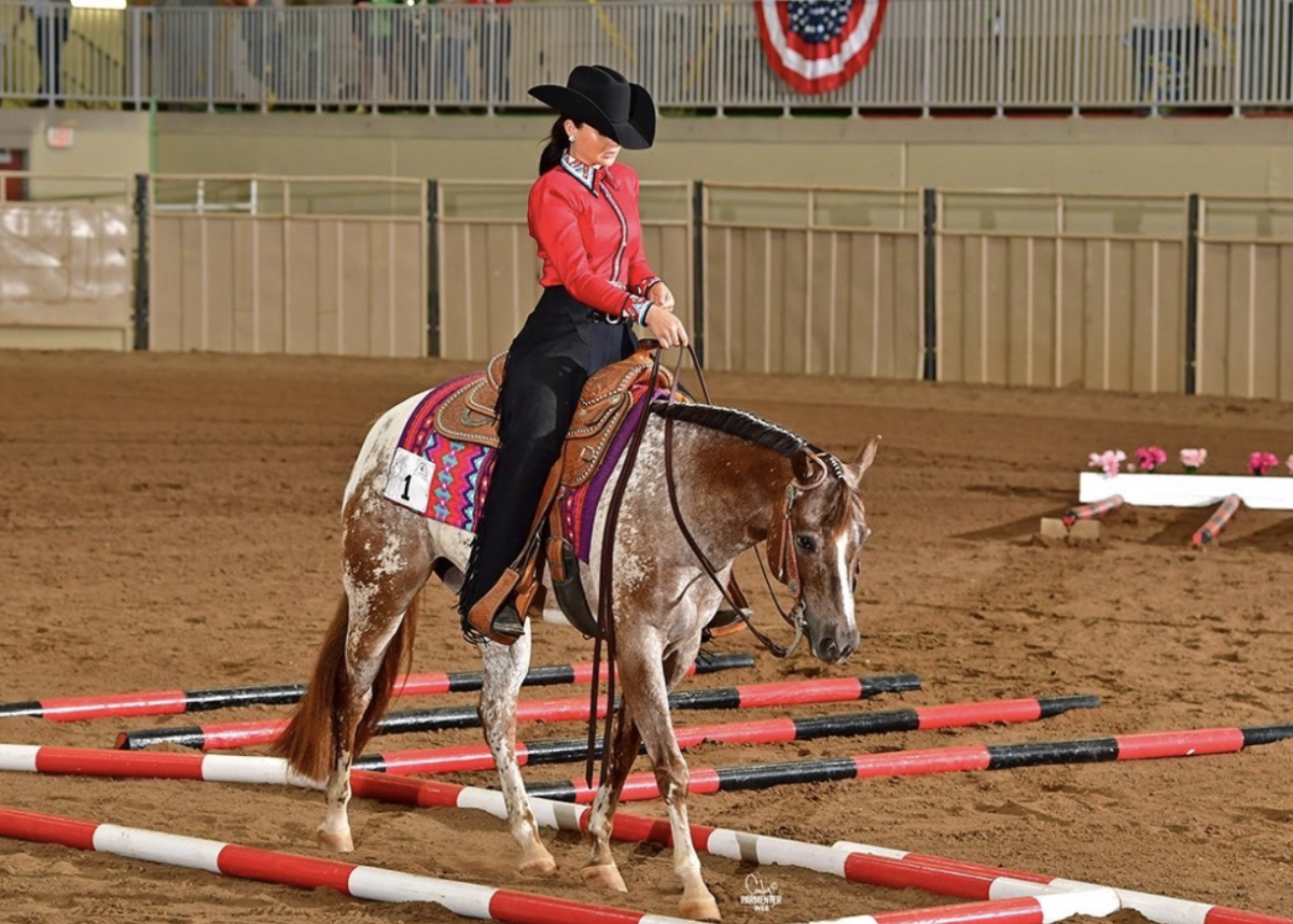 Junior Madeline Armstrong shows her horse in a series of competition demonstrations.