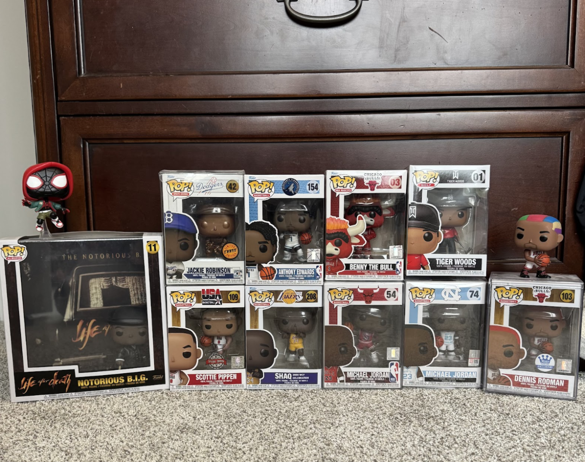 Examples of a Funko Pop collection includes sports figures, Disney characters, and pop culture icons.